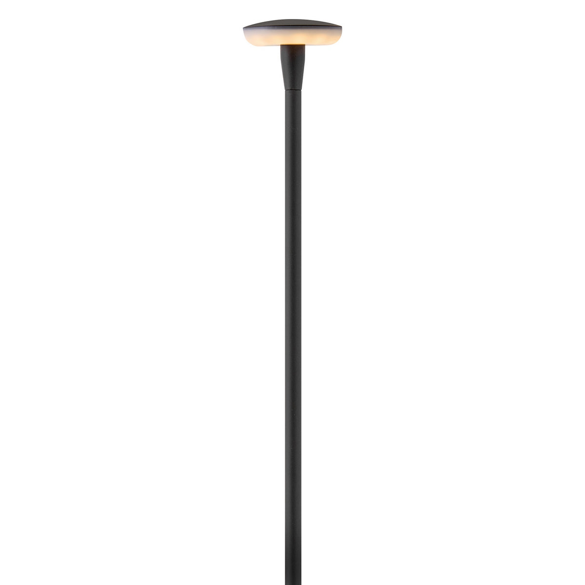 Calie LED Path Light in Black