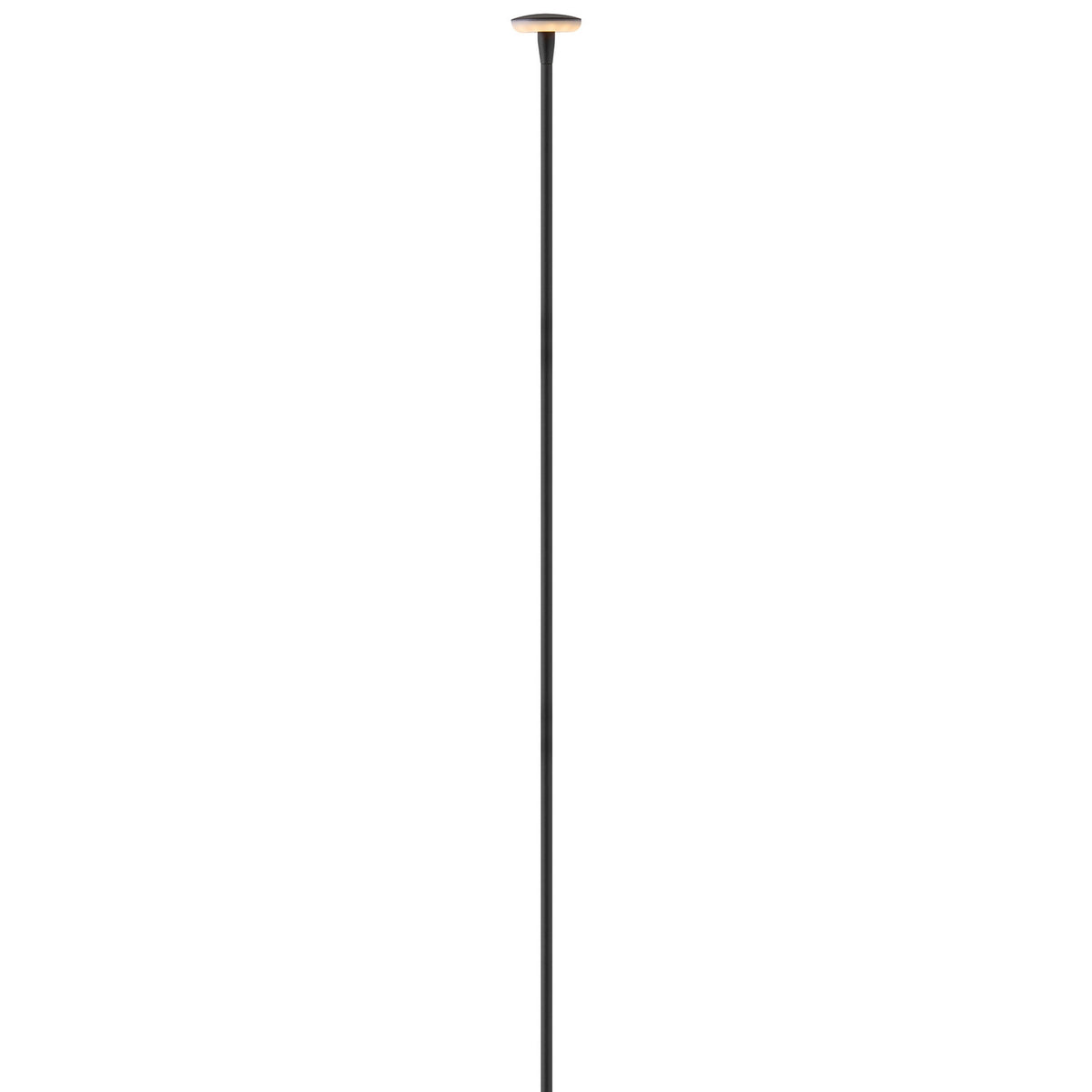 Calie LED Path Light in Black