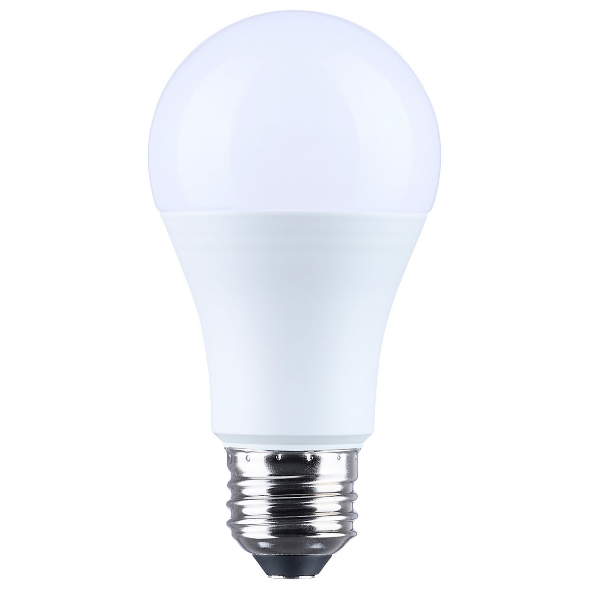 Light Bulb in Frost