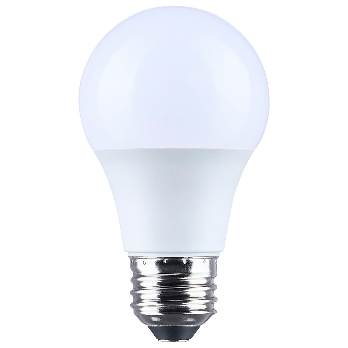 Light Bulb in Frost