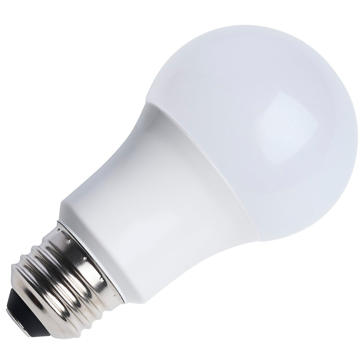 Light Bulb in Frost