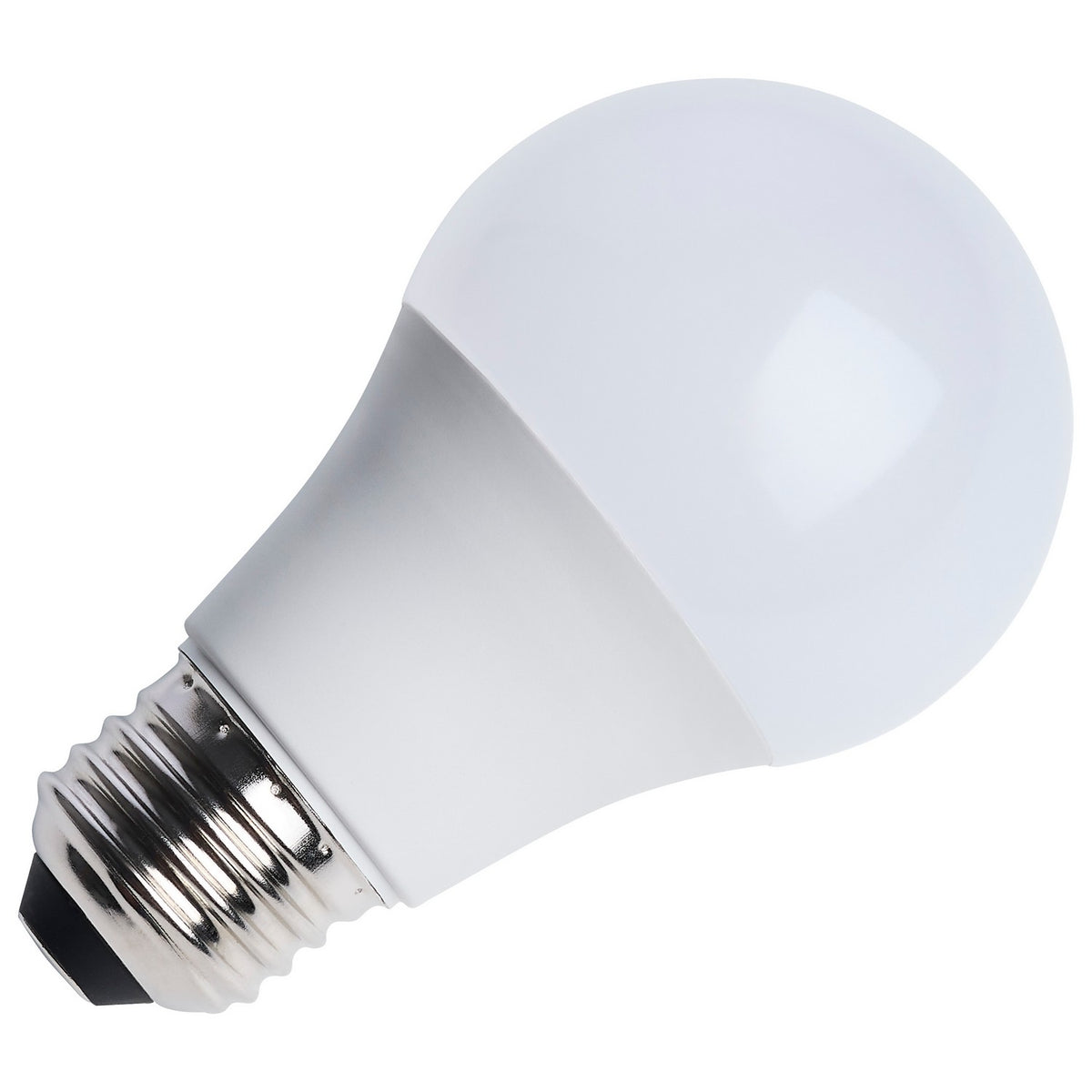 Light Bulb in Frost