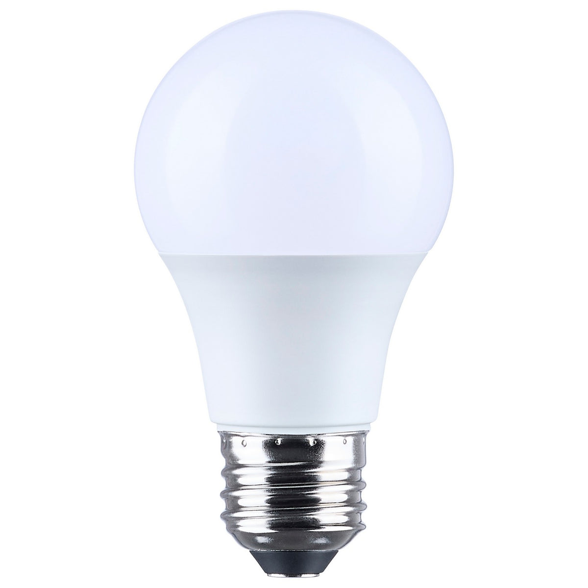 Light Bulb in Frost