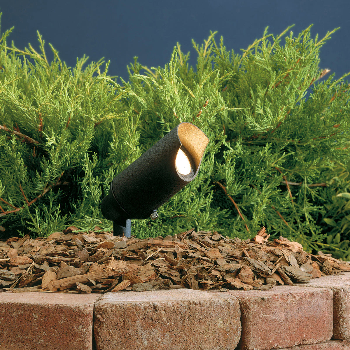 One Light Accent in Textured Black