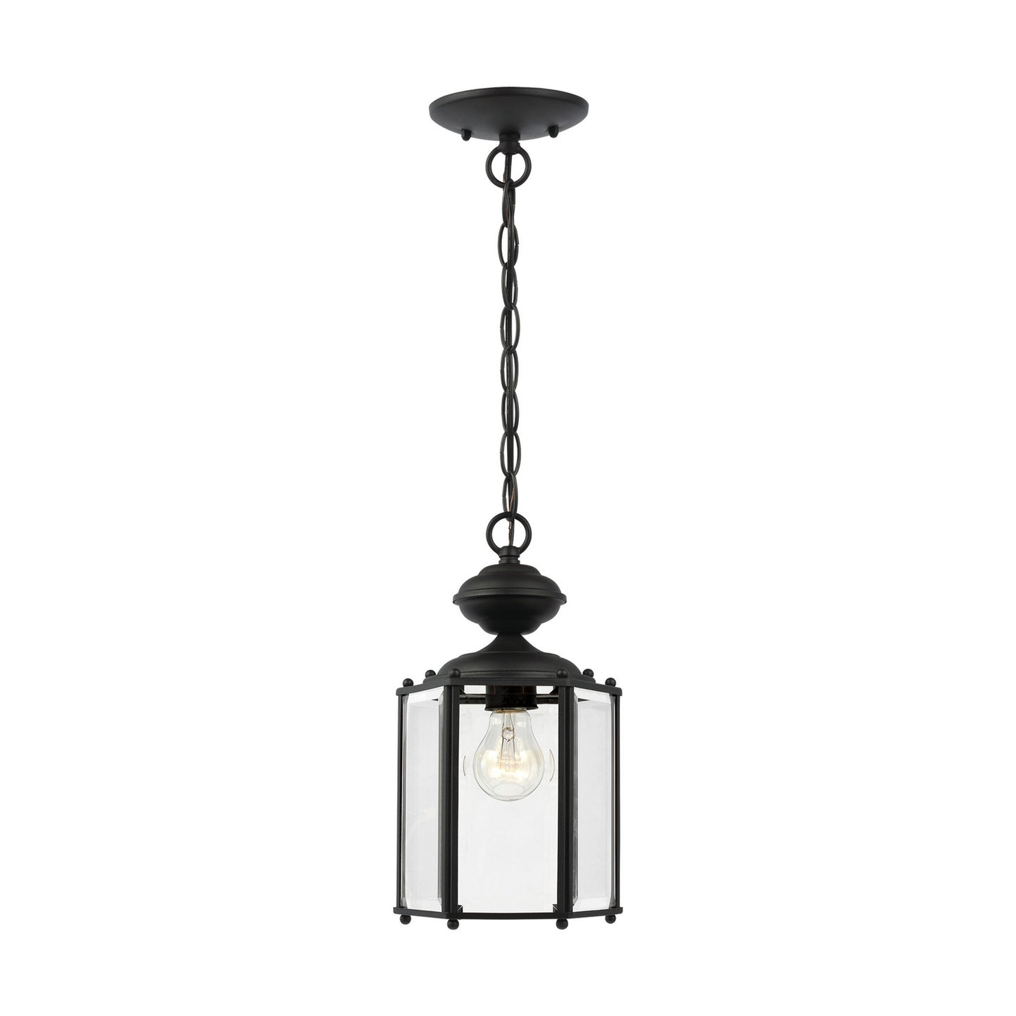 Classico One Light Outdoor Semi-Flush Convertible Pendant in Black