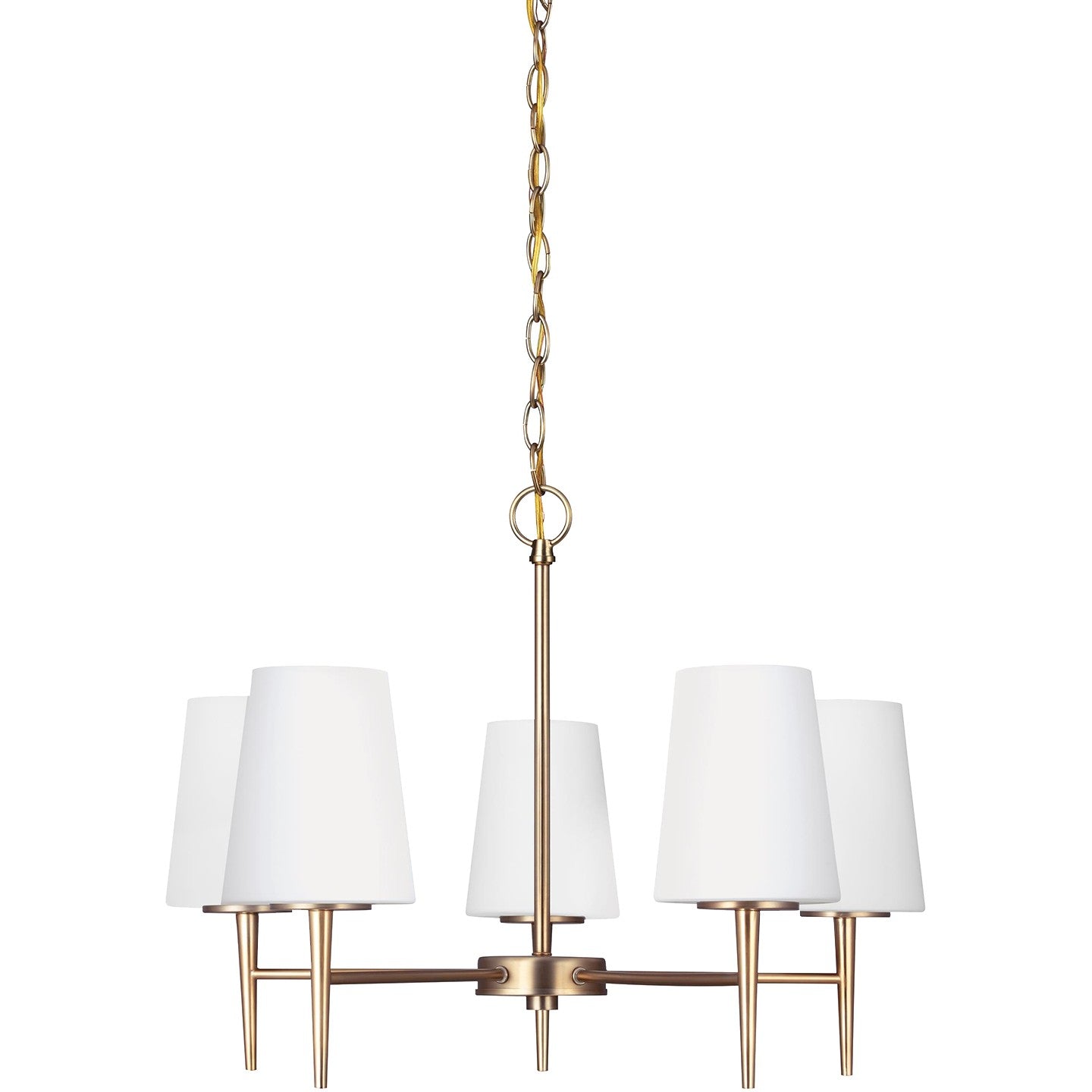 Driscoll Five Light Chandelier in Satin Brass