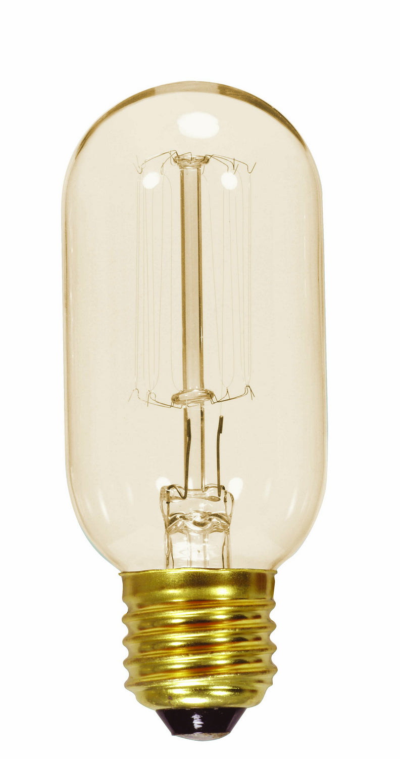 (4-Pack) Light Bulb in Clear