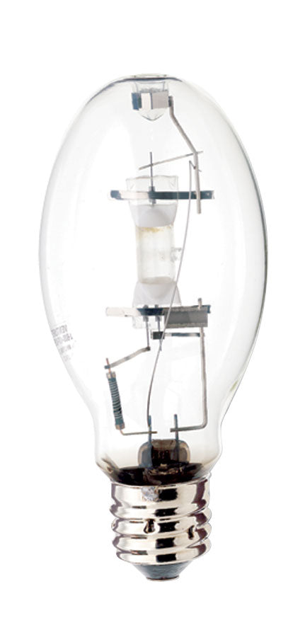 Light Bulb in Clear