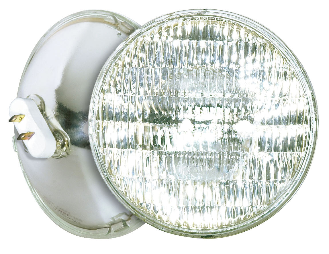 Light Bulb in Clear