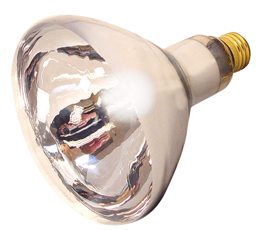 (4-Pack) Light Bulb in Clear Heat