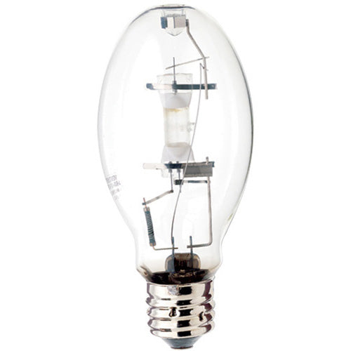 Light Bulb in Clear