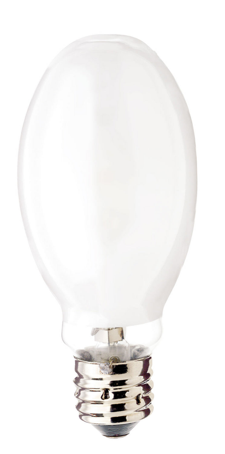 Light Bulb in Coated White