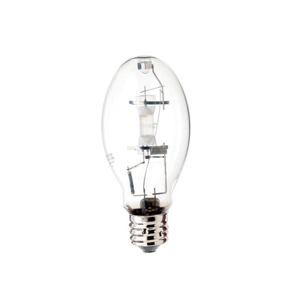 Light Bulb in Clear
