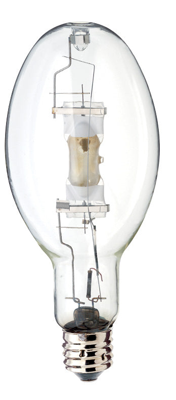Light Bulb in Clear