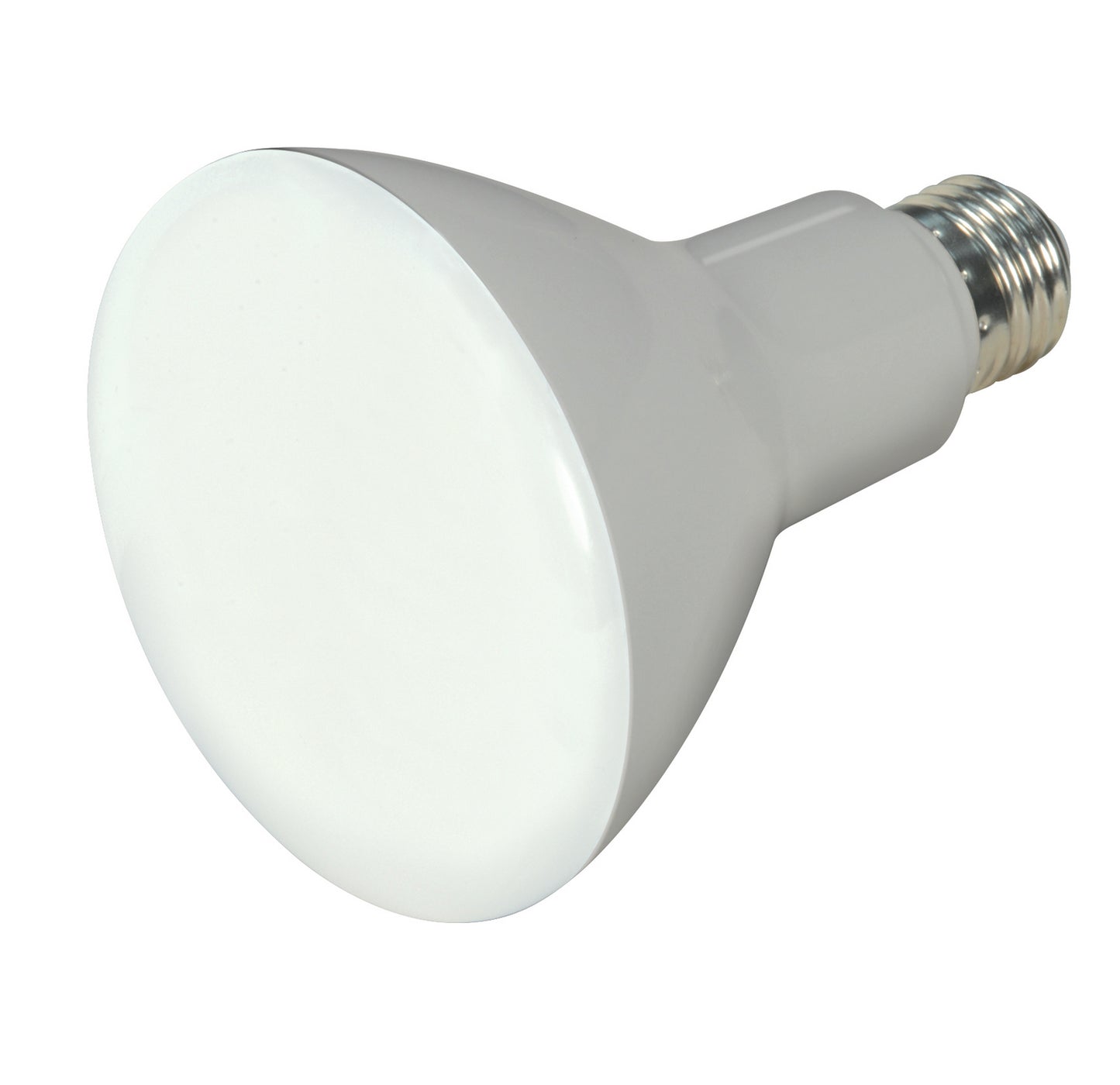 (4-Pack) Light Bulb in Frost
