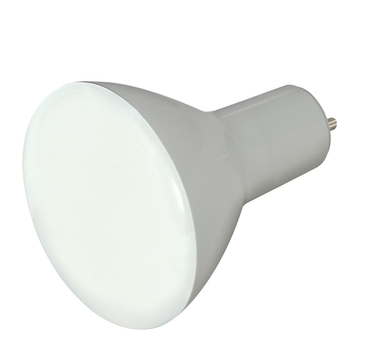 (4-Pack) Light Bulb in Frost