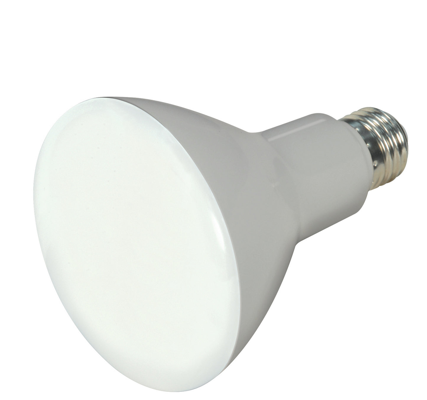 (4-Pack) Light Bulb in Frost