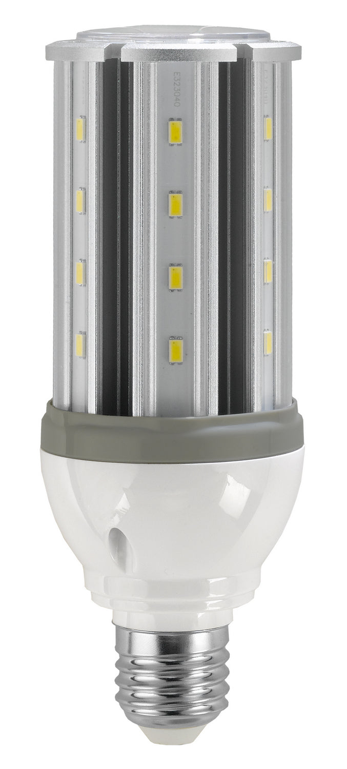 (4-Pack) Light Bulb in Clear