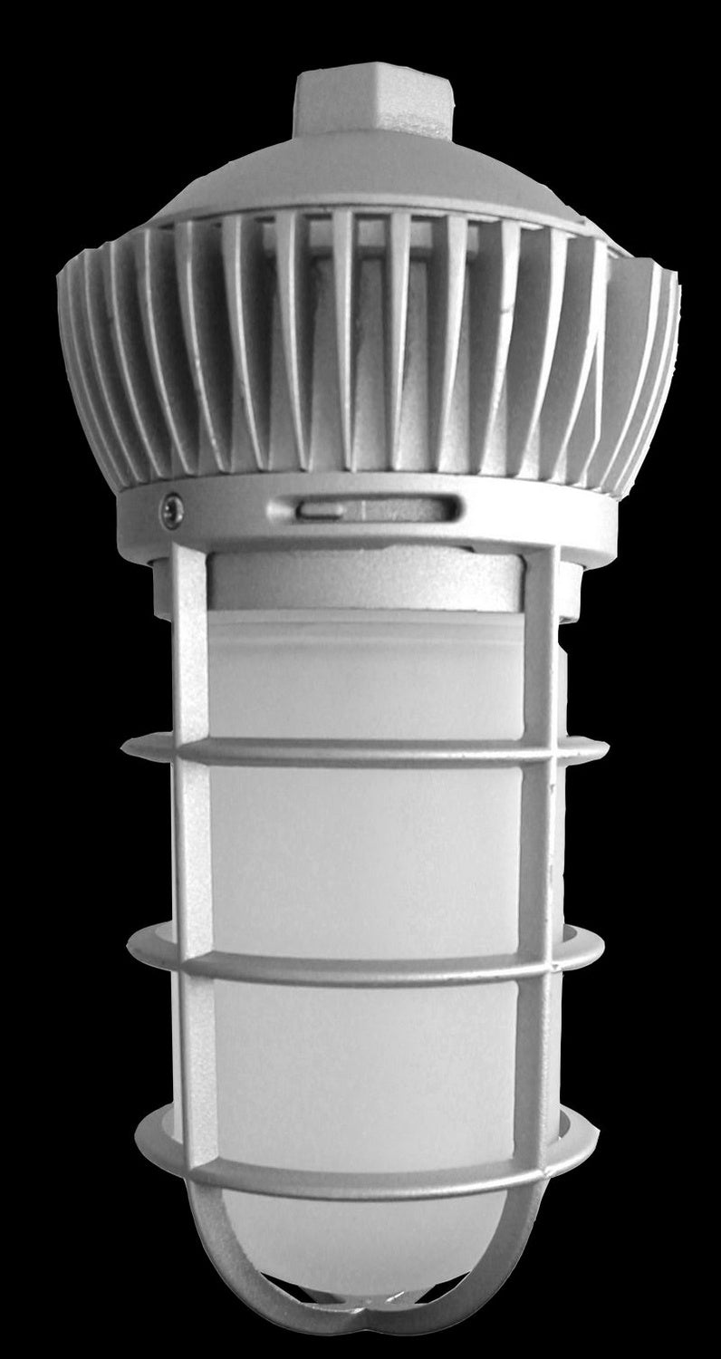 LED Universal Vapor Light in Silver