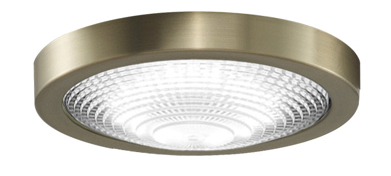Spitfire One Light Fan Light Kit in Brushed Satin