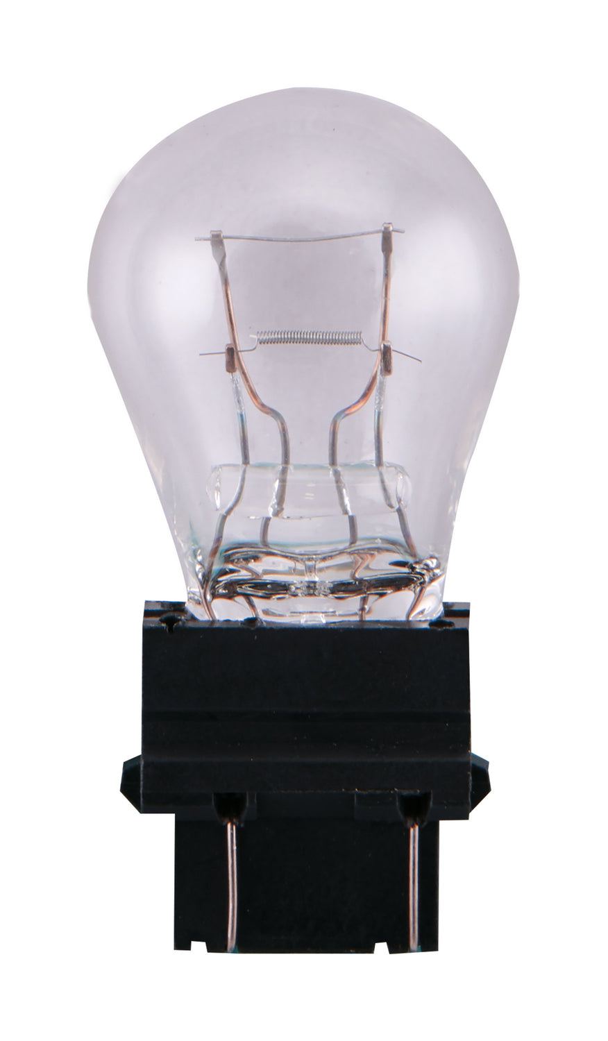 (4-Pack) Light Bulb in Clear
