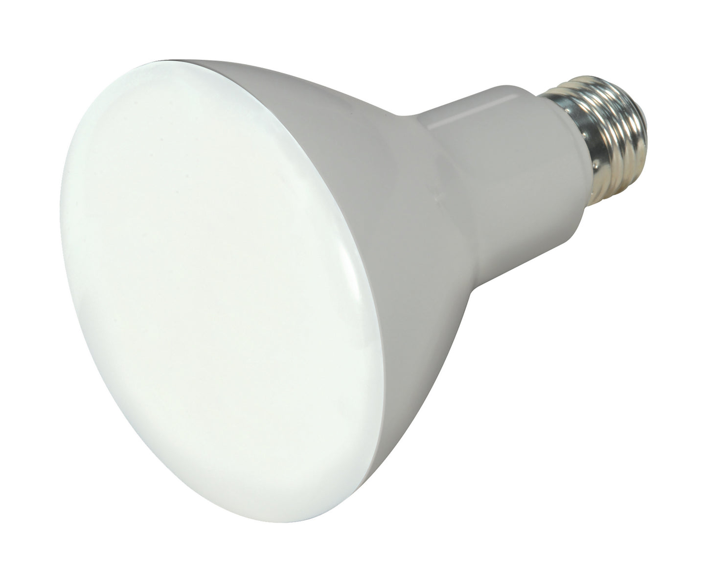 (4-Pack) Light Bulb in Frost