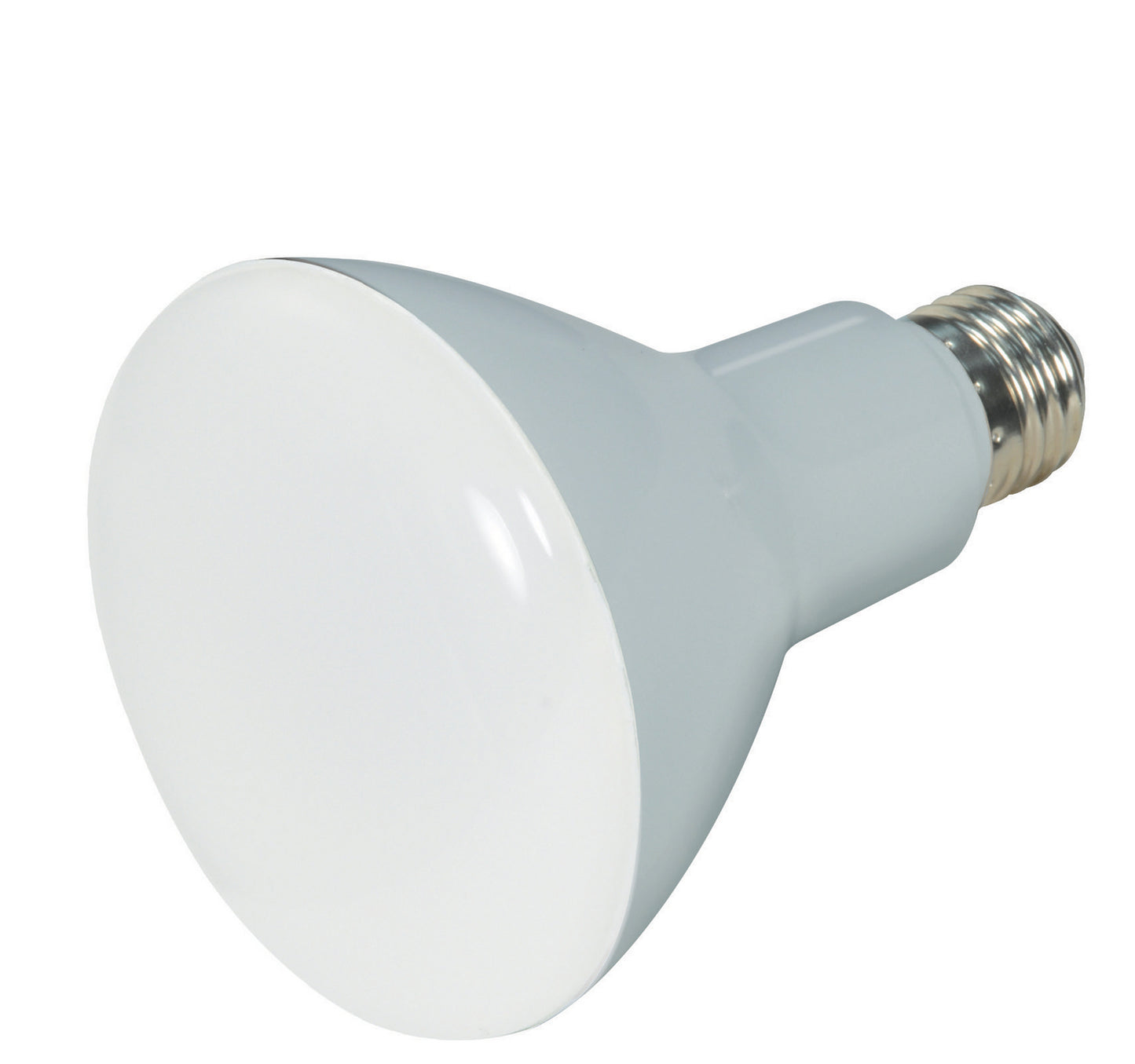 (4-Pack) Light Bulb in Frost