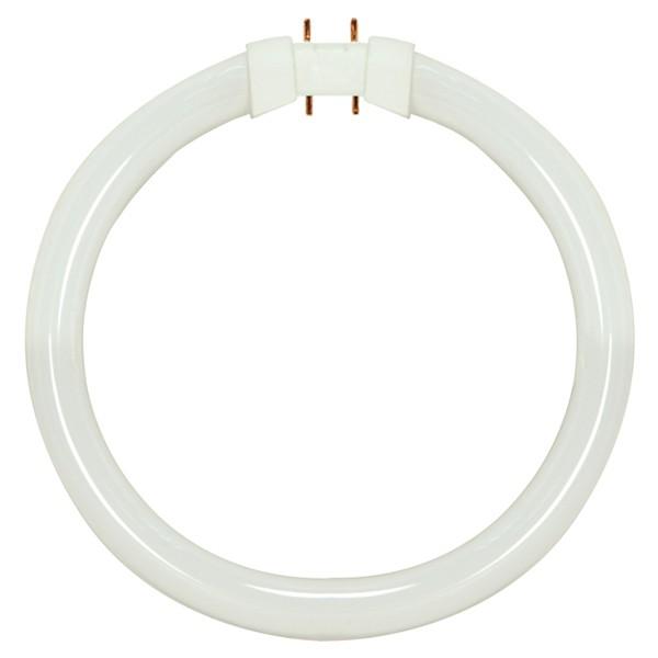 22W T5 Circline - Fluorescent 4100K Cool White 2GX13 (4-Pin)