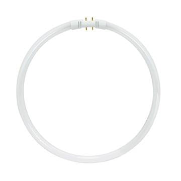 40W T5 Circline - Fluorescent 3000K Warm White 2GX13 (4-Pin)