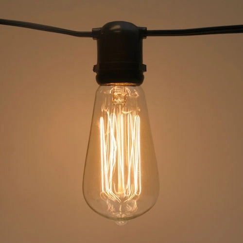 Antique Edison with Squirrel Cage Filament, 25W, 130V, E27 b