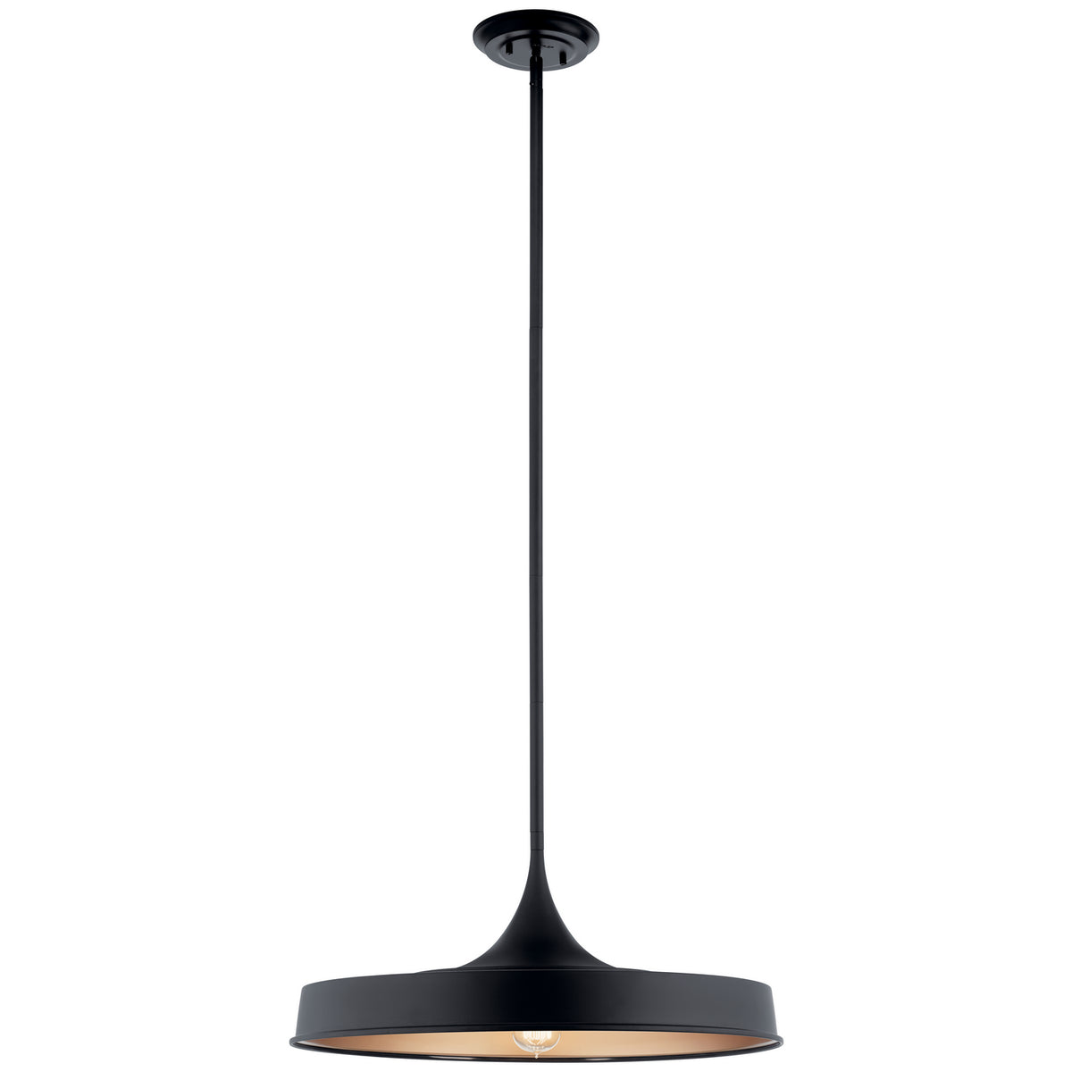 Elias One Light Pendant/Semi Flush in Black