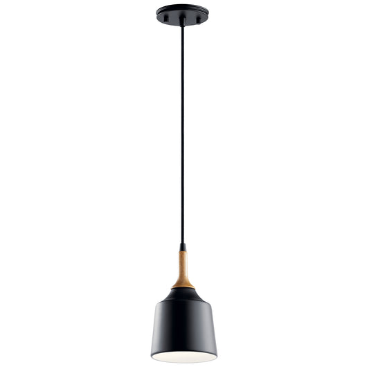 Danika One Light Mini Pendant in Black