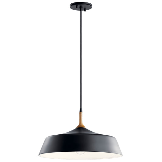 Danika One Light Pendant in Black