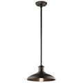 Allenbury One Light Outdoor Pendant/Semi Flush in Olde Bronze
