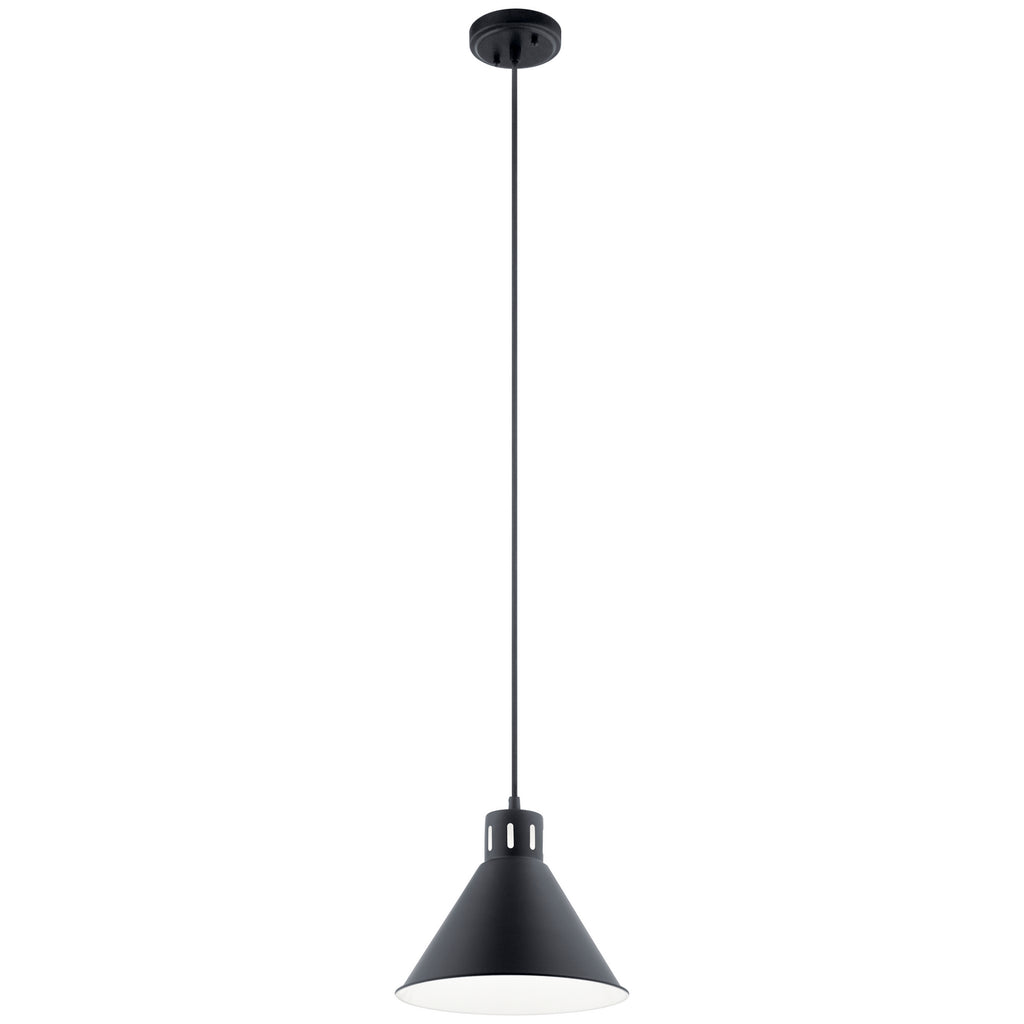 Zailey One Light Pendant in Black
