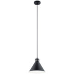 Zailey One Light Pendant in Black