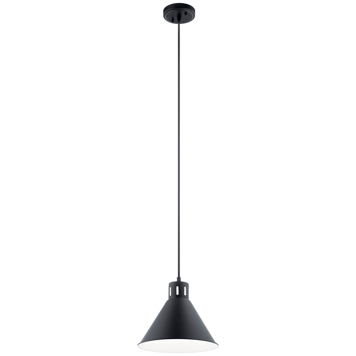 Zailey One Light Pendant in Black