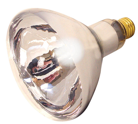 (4-Pack) Light Bulb in Clear Heat