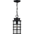Progress Lighting - P550061-031 - One Light Hanging Lantern - Port Royal - Black