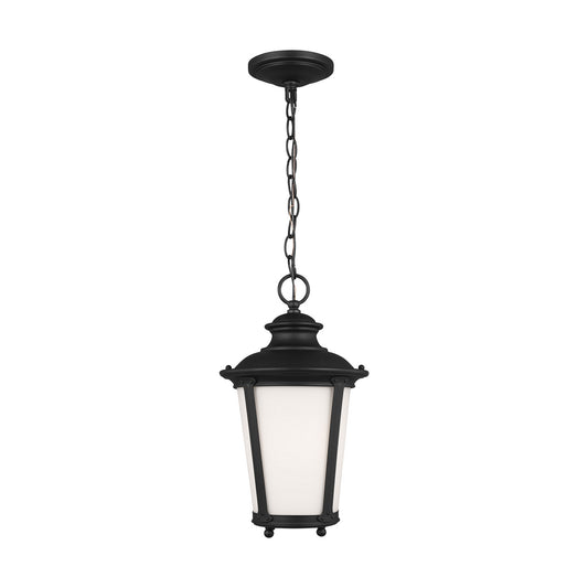 Cape May One Light Outdoor Pendant in Black