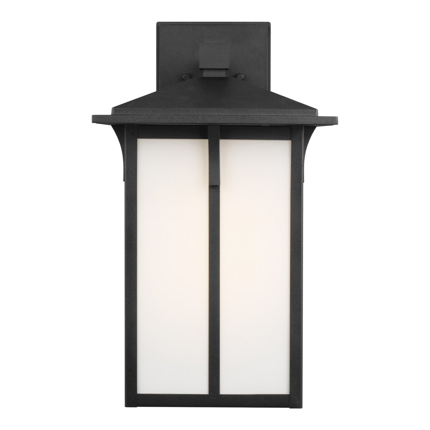 Tomek One Light Outdoor Wall Lantern in Black
