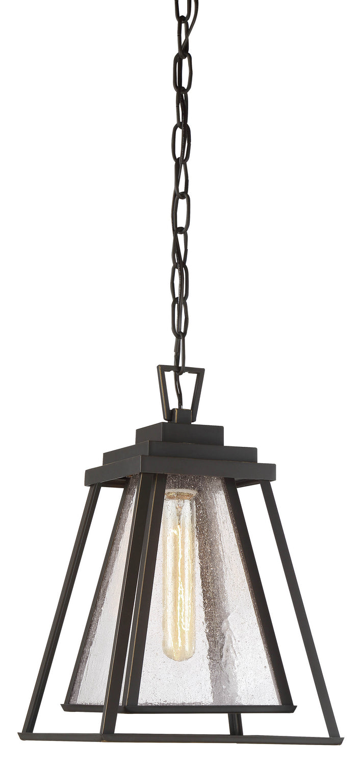 Sleepy Hollow One Light Chain Hung Lantern in Dakota Bronze