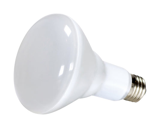 (4-Pack) Light Bulb in Frost