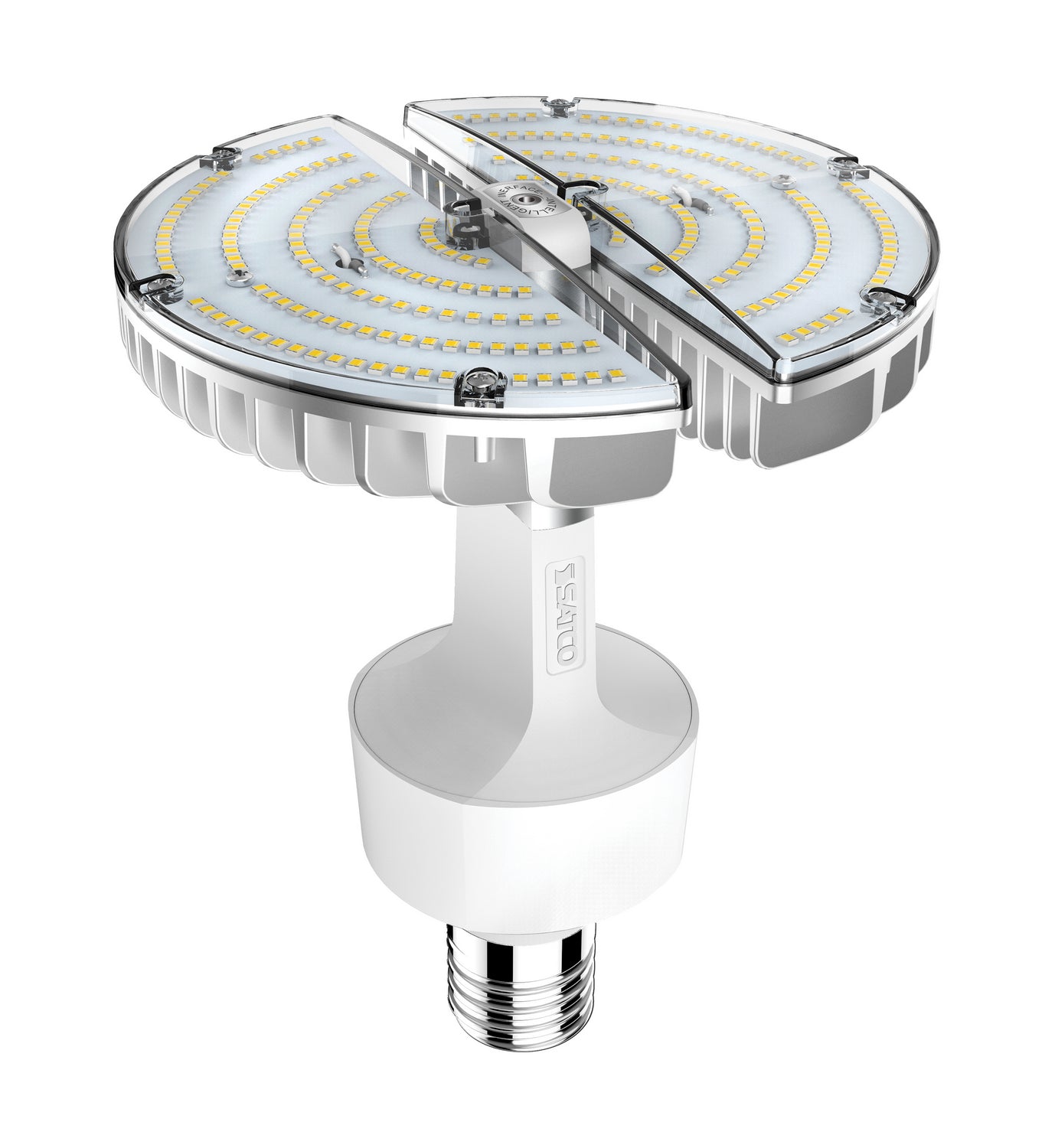 Light Bulb in Clear