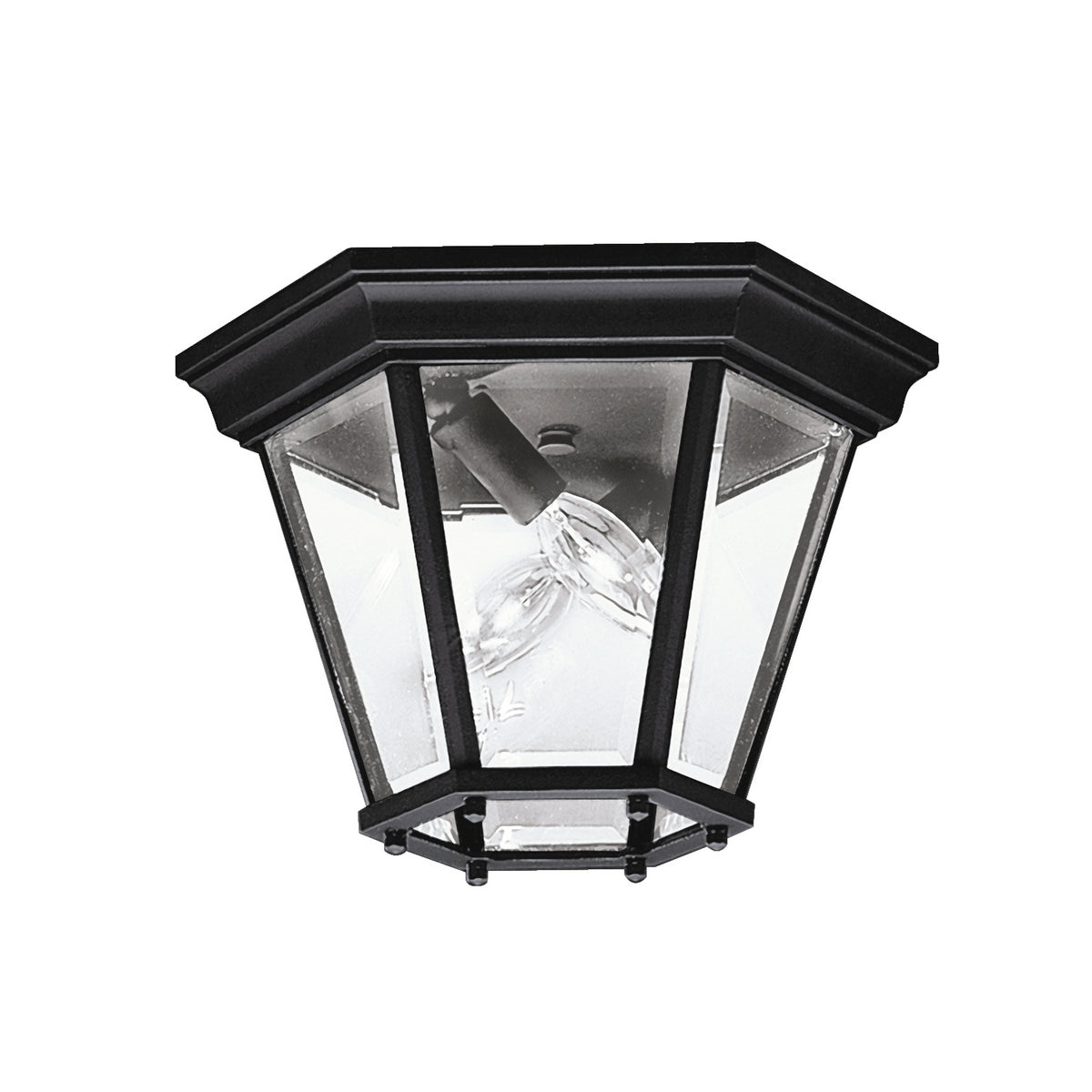Madison Two Light Outdoor Ceiling Mount in Black