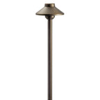 One Light Path Light in Centennial Brass