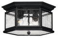 Edgewater LED Flush Mount in Black