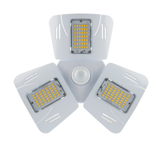 (4-Pack) Light Bulb in Clear