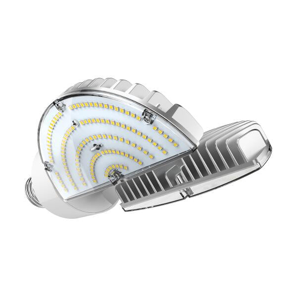 Light Bulb in Clear