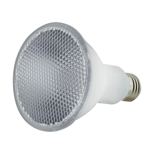 (4-Pack) Light Bulb in Clear